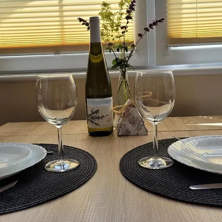 Patraj Δωμάτια σε οικογενειακή κατοικία Mielenko