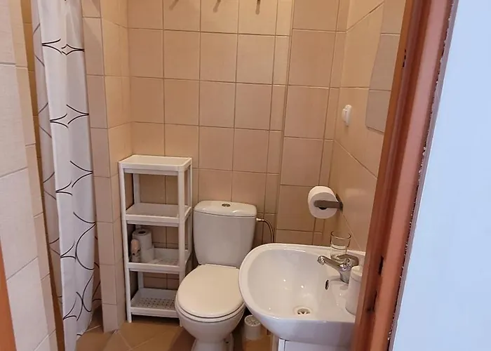 Patraj ホームステイ ミエレンコ