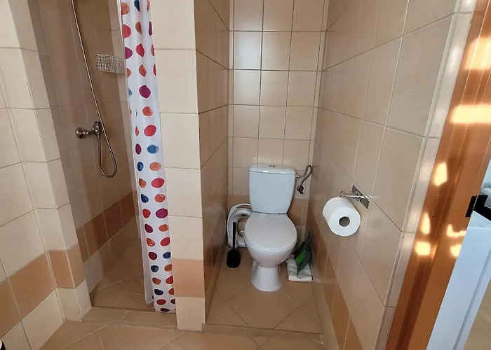 Patraj ミエレンコ